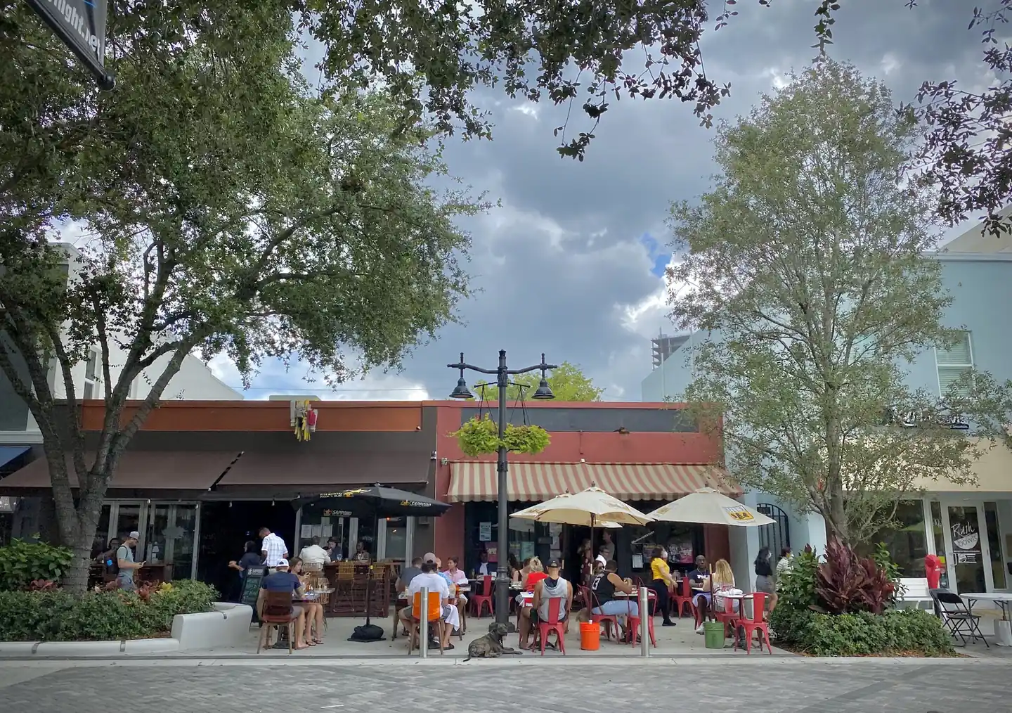 Busy curbside dining patio on Clematis Street: diners on red metal chairs at wooden tables under cream and black market umbrellas, a striped awning, a double street lamp with hanging planters, shade trees, and a brindle dog lying on the paving.