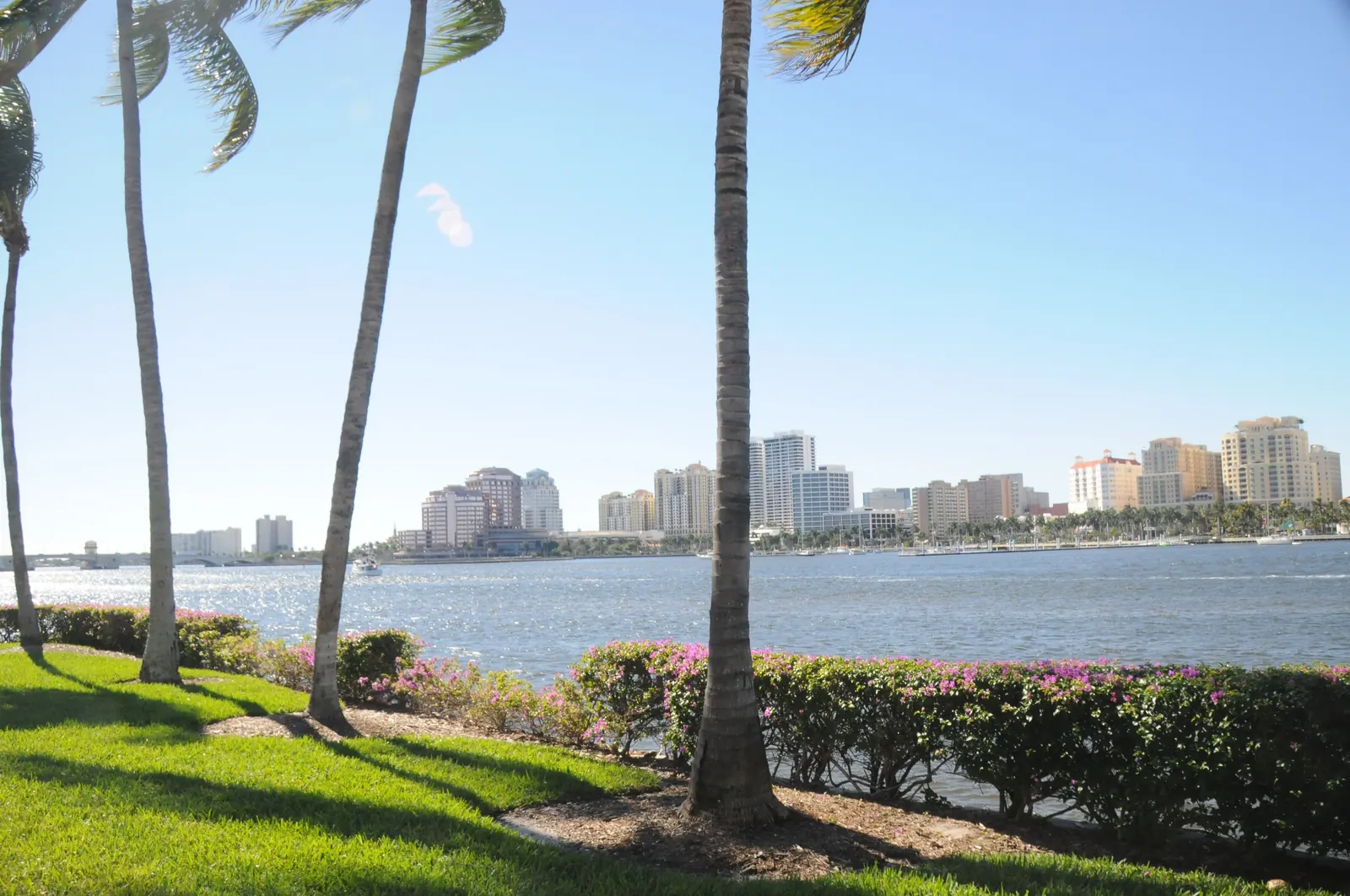 Sunny view from a lawn edged with pink-flowering bougainvillea hedges and tall coconut palms, looking across the sparkling lagoon to the downtown West Palm Beach towers on the far shore.